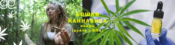шишки Осташков