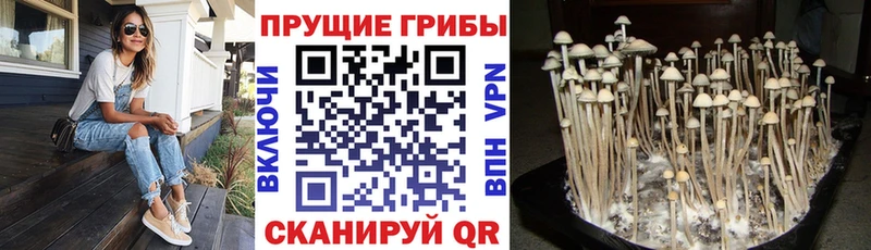 купить наркотики цена  Радужный  Галлюциногенные грибы прущие грибы 
